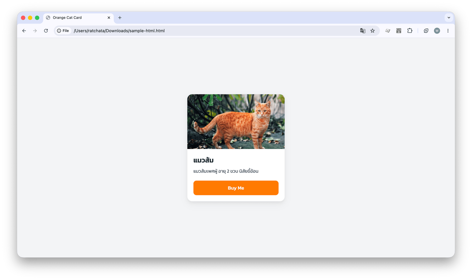 ตัวอย่างโตรงสร้างที่แต่งสวยด้วย CSS แล้ว